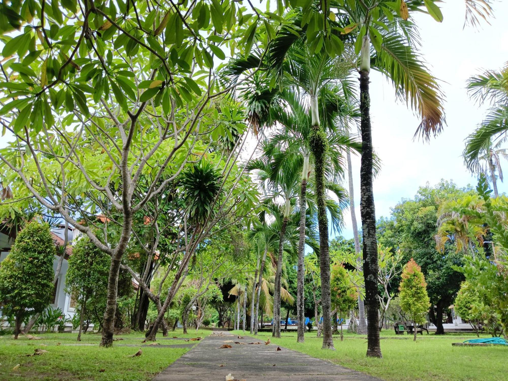 New Mekar Jaya Hotel Legian  Bagian luar foto